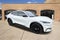 2023 Ford Mustang Mach-E California Route 1