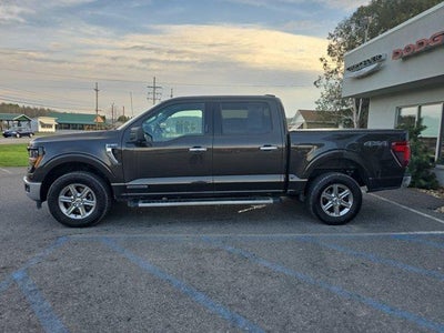 2024 Ford F-150 XLT 4WD SuperCrew 5.5' Box