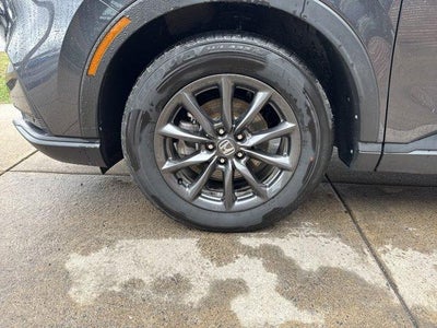 2026 Honda CR-V EX-L AWD