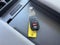 2025 Toyota Sienna LE FWD 8-Passenger (Natl)