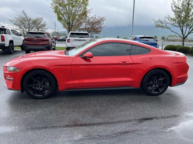 2019 Ford Mustang EcoBoost Fastback