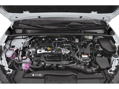 2024 Toyota Prius XLE AWD (Natl)