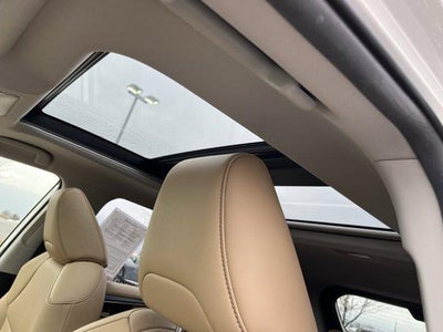 2019 Toyota RAV4 Limited AWD (GS)