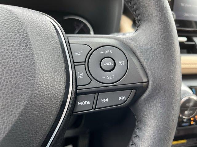 2019 Toyota RAV4 Limited AWD (GS)