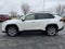 2019 Toyota RAV4 Limited AWD (GS)