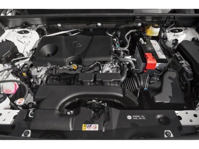 2019 Toyota RAV4 XLE AWD (Natl)