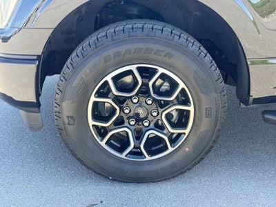 2023 Ford F-150 XLT 4WD SuperCrew 5.5' Box
