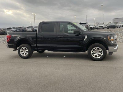 2023 Ford F-150 XLT 4WD SuperCrew 5.5' Box