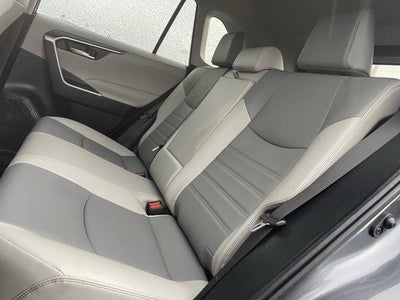 2023 Toyota RAV4 XLE Premium AWD (Natl)