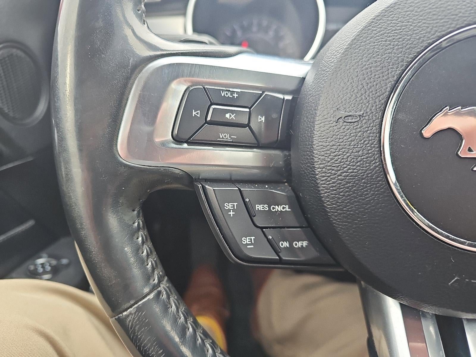 2019 Ford Mustang GT Premium Fastback