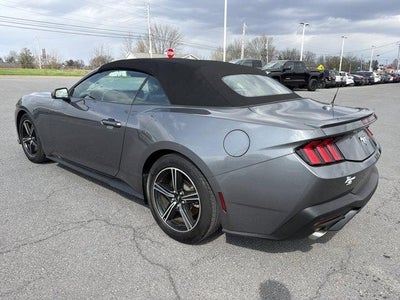 2025 Ford Mustang EcoBoost Premium Convertible