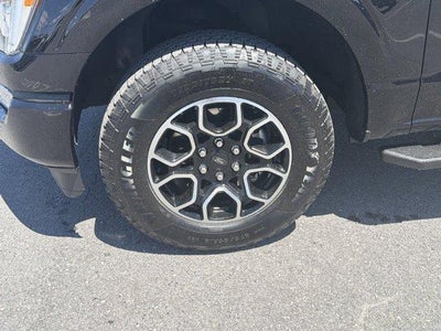 2023 Ford F-150 XLT 4WD SuperCrew 5.5' Box