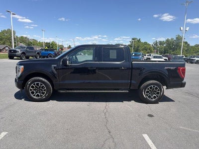 2023 Ford F-150 XLT 4WD SuperCrew 5.5' Box