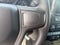 2020 Chevrolet Silverado 1500 Crew Cab Short Box 4-Wheel Drive Custom Trail Boss